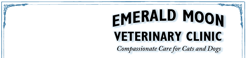 Emerald Moon Veterinary Clinic: Compassionate Care for Cats and Dogs.